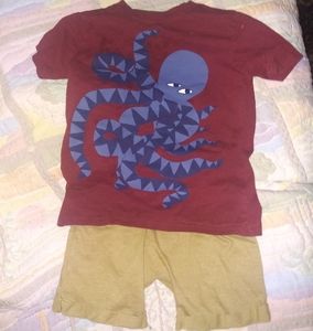 Size 12M 18M 3T 4T 5T 7 Cat /& Jack Boys Maroon Red Sweatpants with Navy Stripe